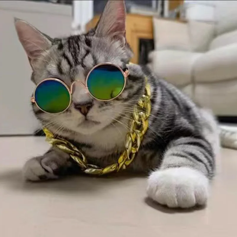 Funny and Cute Animal Cat Dog Necklace in Europe and America Hip Hop Fashion Pet Jewelry Necklace
Funny and Cute Animal Cat Dog Necklace in Europe and America Hip Hop Fashion Pet Jewelry Necklace