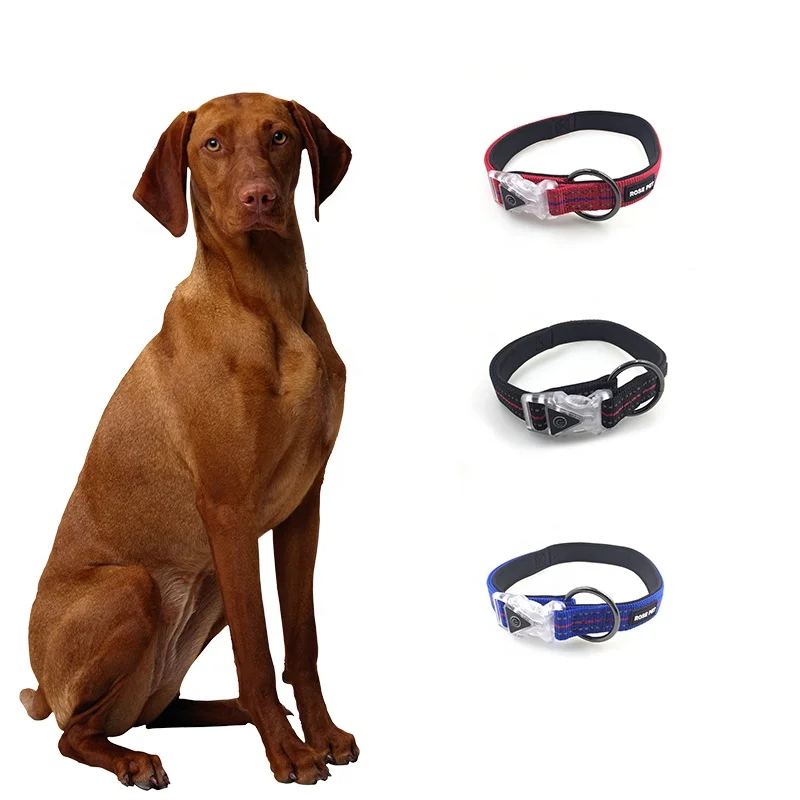 Custom Nylon Adjustable Dog Collar Personalized Gradient Small Medium Large Dog Reflective Pet Collar
Custom Nylon Adjustable Dog Collar Personalized Gradient Small Medium Large Dog Reflective Pet Collar