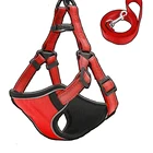 Fashionable Charm Durable Small Mesh Neoprene Dog Harness and leash