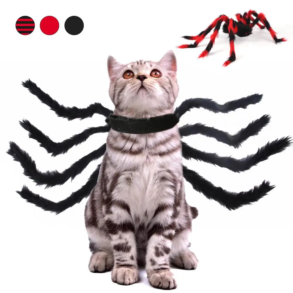 Pet Spider Costume - Halloween Spider Costume for Cats and Small to Medium Dogs Halloween Party Dress Up Festival Decoration Cos
Pet Spider Costume - Halloween Spider Costume for Cats and Small to Medium Dogs Halloween Party Dress Up Festival Decoration Cos