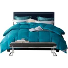 Globon Feather and Down Duvet 100% Cotton Down-Proof Fabric, With Corner Tabs Duvet Insert