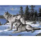 Oil Painting Oil Framed 40*50cm 2 Wolves DIY Oil Painting By Numbers Kit Adult
