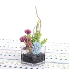 Cheap wholesale lovely mini cactus artificial succulent plants potted