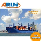 Best service freight forwarder sea freight shipping from china to usa uk germany