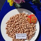 High Quality Good Blanched Peanuts Kernels