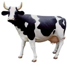 Logo Customization Sculpture Animal Zoo and Park Decoration Sculpture Life Size Fiberglass Animal Cow Statue