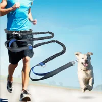 

Retractable Running Walking Hands Free Waist Dog Leash Professional Harness with Reflective Stitches