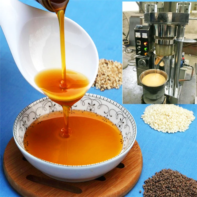 Major Mango seed oil extraction process Black cumin seed Hydraulic pomegranate seeds oil press machine