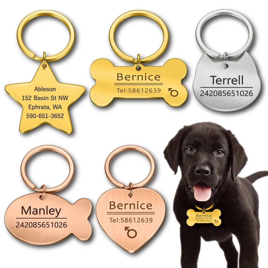 Custom Stainless Steel Cat Dog Pet ID Tag Engraved Pet ID Name and Phone Number, As picture
Custom Stainless Steel Cat Dog Pet ID Tag Engraved Pet ID Name and Phone Number, As picture