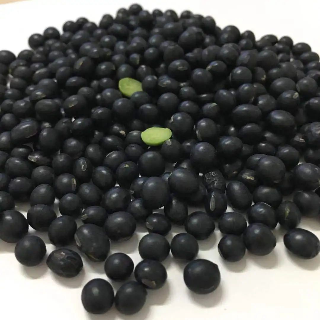 chinese green kernel black soya bean suppliers