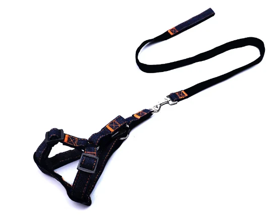 Breathable Dog Harness and Leash Adjustable for Small Medium Large Extra Large Dog Leashes and Chest Harness
Breathable Dog Harness and Leash Adjustable for Small Medium Large Extra Large Dog Leashes and Chest Harness