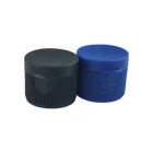 Customized 24/410 Plastic Filp Top Cap
