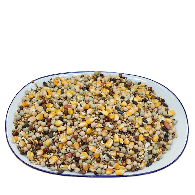 Pigeon food 2000g corn bird feed wholesale pet supplies foods No added pure natural
Pigeon food 2000g corn bird feed wholesale pet supplies foods No added pure natural