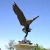 /product-detail/bronze-eagle-garden-statue-62319127799.html