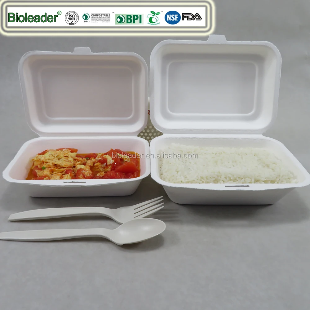 Biodegradable Sugarcane Pulp 2 Compartments Disposable Food Container For Takeout