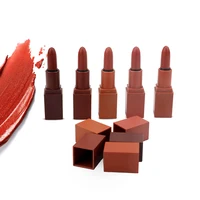 Luxury moisturizing private label brown plastic tube beauty cosmetics set box lipstick
Luxury moisturizing private label brown plastic tube beauty cosmetics set box lipstick