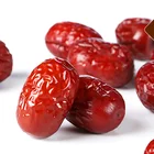 Chinese exporters sale fresh organic dates fruit dried fruit