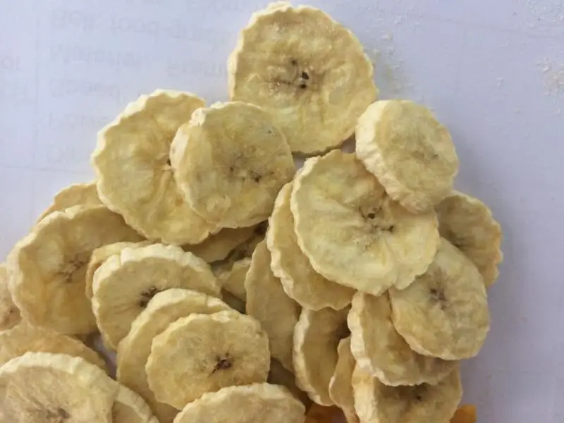 Cassava Fruit and Vegetable Drying Machine Meat Food Fish Dehydrator Heat Pump Dryer Machine supplier