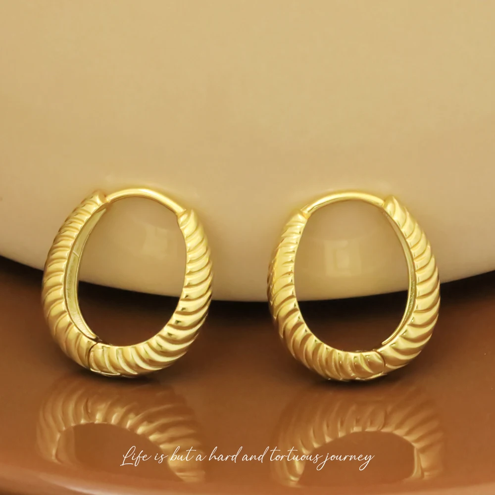 VIANRLA 925 Sterling Silver Jewelry Earrings 18k Gold Plated Trendy Hoop Earring For Women Free Laser Logo Wholesale
VIANRLA 925 Sterling Silver Jewelry Earrings 18k Gold Plated Trendy Hoop Earring For Women Free Laser Logo Wholesale