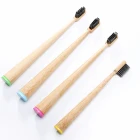 Free Sample Conical Real Plant-based Bamboo Toothbrush
