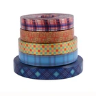 Fashion Custom Pattern Heat Transfer Printed Plastic Polyester Coated Webbing