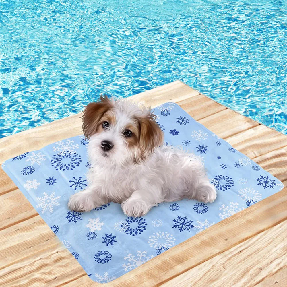 2021 new style Summer Cooling For Cool Pet Chilly Gel Mat Dog Ice Pad dog cold pad ice pack cool gel mat with wash label, Blue
2021 new style Summer Cooling For Cool Pet Chilly Gel Mat Dog Ice Pad dog cold pad ice pack cool gel mat with wash label, Blue