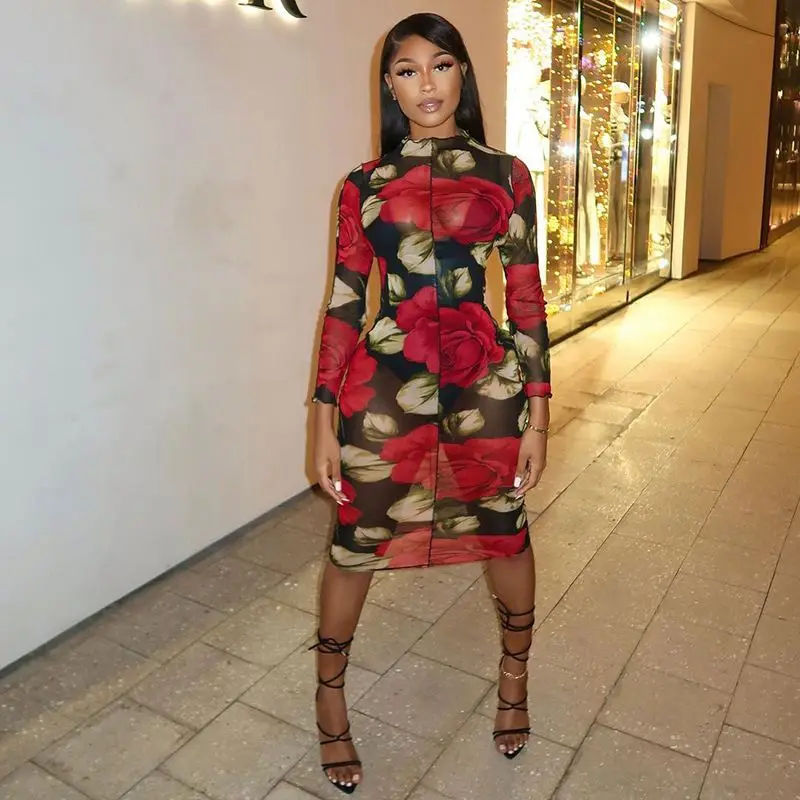 FREE SAMPLE JHTH Women's Spring 2021 New Rose Printed Mesh Long Sleeve Mid-length Dress Women
FREE SAMPLE JHTH Women's Spring 2021 New Rose Printed Mesh Long Sleeve Mid-length Dress Women