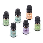 High Quality Top 6 Pure Natural Essential Oil Lavender Peppermint Lemongrass Eucalyptus Orange Tea tree