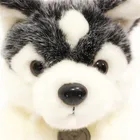 Soft Toy Animal Stf Plush Lovely Plush Toy Husky Plush Stuffed Animal Soft Toy