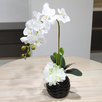 真正感人的美丽人造花白色蝴蝶兰在花盆餐厅家庭花园装饰 buy