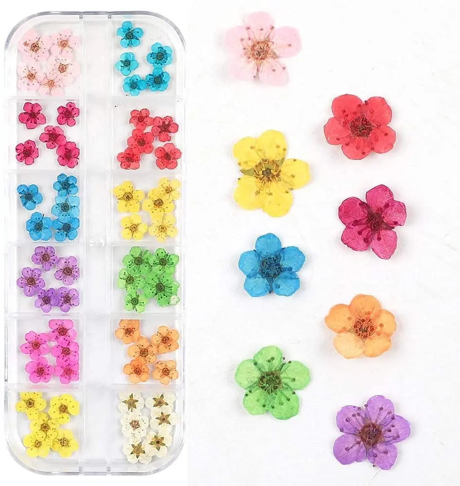 Wholesale Nail 3D Art Dry Flowers Gel False Nails Decoration Mini dried flowers Floral Leaf Stickers nail Design 24 36 60 pcs, Multi-color
Wholesale Nail 3D Art Dry Flowers Gel False Nails Decoration Mini dried flowers Floral Leaf Stickers nail Design 24 36 60 pcs, Multi-color