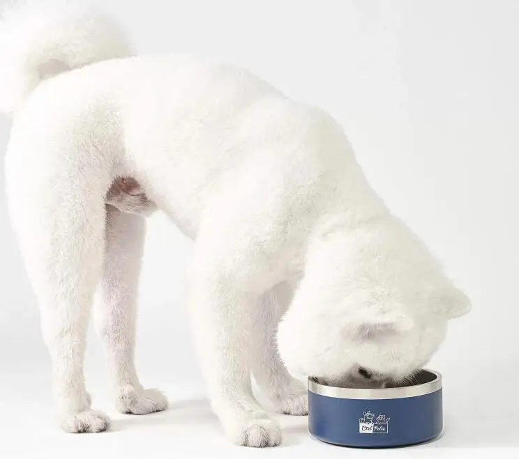 Pet Dog Bowls 58oz 64oz Stainless Steel Dog Bowl Food Scoop Feeder Bowls for Feeding Dogs Cats Non Slip, Customized
Pet Dog Bowls 58oz 64oz Stainless Steel Dog Bowl Food Scoop Feeder Bowls for Feeding Dogs Cats Non Slip, Customized