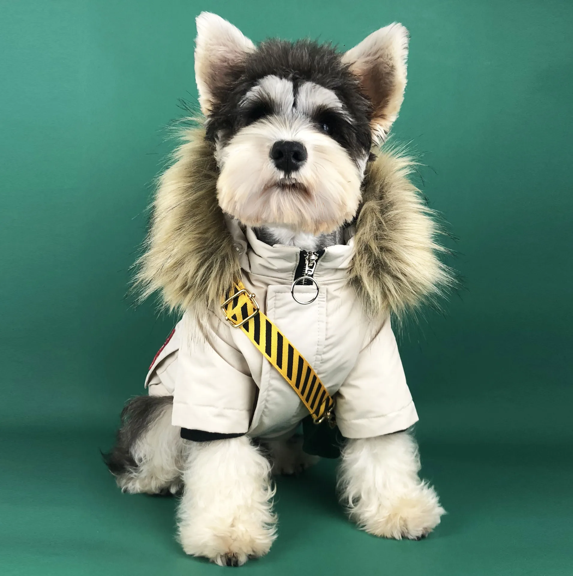 Wholesale High Quality Made Sport Windproof Jacket Polyester Softshell Zipper Closure Jacket For Dog Clothing Pet Clothes, Beige, dark blue,purple
Wholesale High Quality Made Sport Windproof Jacket Polyester Softshell Zipper Closure Jacket For Dog Clothing Pet Clothes, Beige, dark blue,purple