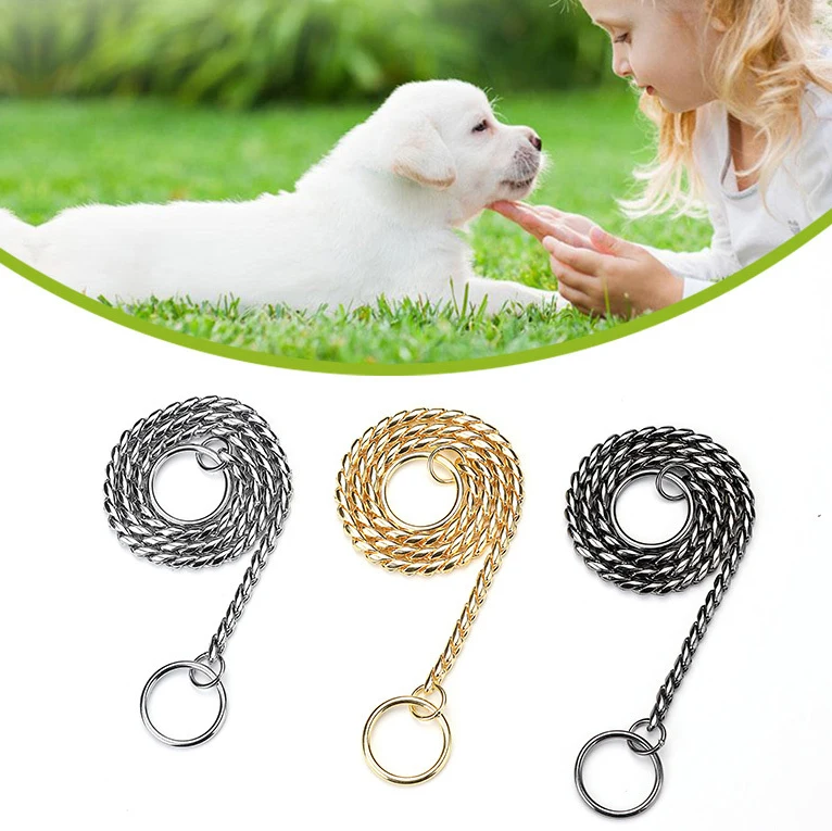 dog metal collar