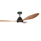 Ceiling Factory Supplying Hot Selling High Quality Dc Motor Remote Control Ceiling Fan With Led Light BALI II