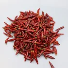 Wholesale Dry Pepper Red hot Chilli