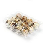 Blister Plastic Egg Blister Wholesale Clear Disposable Supermarket Blister Plastic Quail Egg Tray