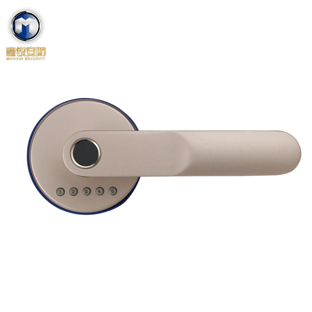 Simple bedroom door handle smart modern lock black digital door lock fingerprint, Black, white
Simple bedroom door handle smart modern lock black digital door lock fingerprint, Black, white