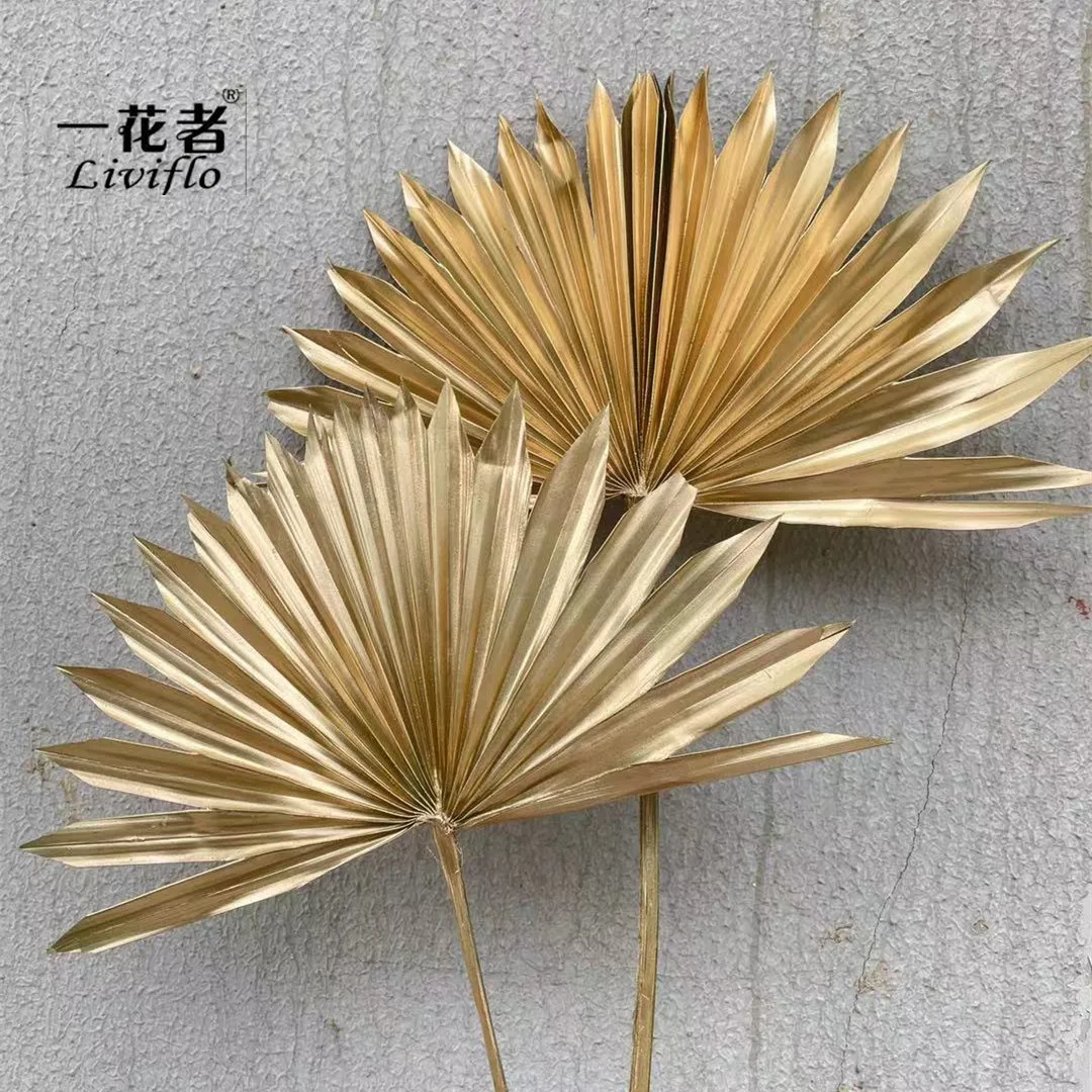 Yunnan Hot - Selling Dried Leaf Dried Small Palm Fan Carton Box Decorative Flowers & Wreaths 5 Color Long Time 50g Liviflo Pbw61
Yunnan Hot - Selling Dried Leaf Dried Small Palm Fan Carton Box Decorative Flowers & Wreaths 5 Color Long Time 50g Liviflo Pbw61