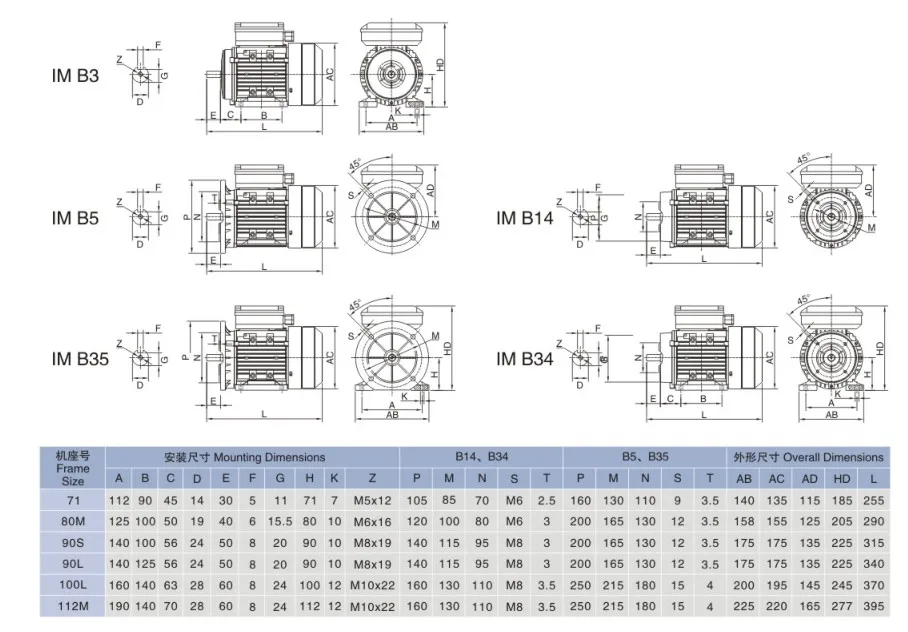 single phase motor drawing.JPG