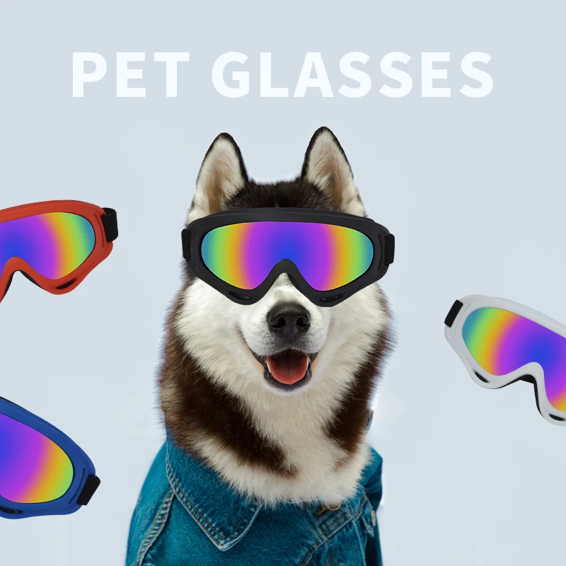 New floral cat sunglasses for dogs classic retro glasses for dogs Funny Pet Glasses dog goggles
New floral cat sunglasses for dogs classic retro glasses for dogs Funny Pet Glasses dog goggles