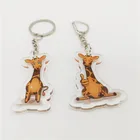 Transparent Acrylic Blank Keychain Custom Printed Acrylic Key ring for Zoo Park Advertising