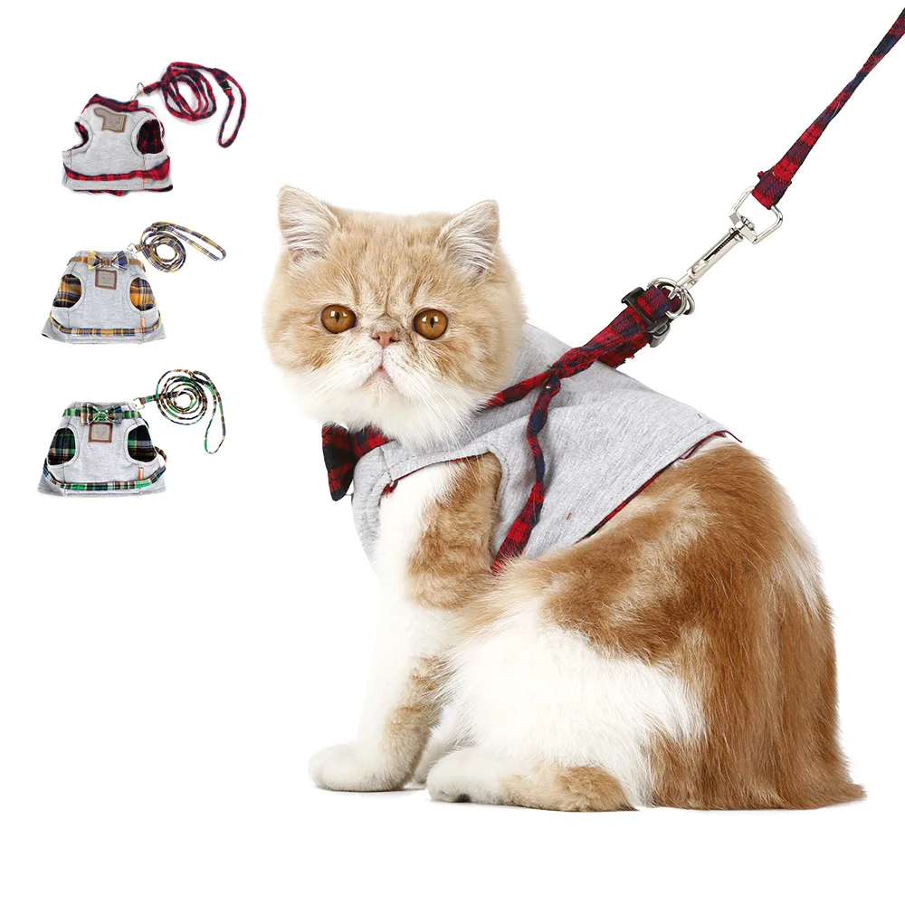 High Quality 2021 New cat vest type cat leash, cat leash pet supplies for wholesale, Picture showed
High Quality 2021 New cat vest type cat leash, cat leash pet supplies for wholesale, Picture showed