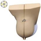 Human breast anatomical model pregnant breast model artifical breast