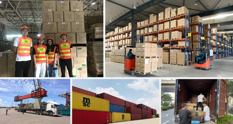 Freight forwarder china shenzhen ningbo to Sweden logistics services FCL and LCL sea freight