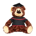 Wholesale Cute Soft Stuffed Plush Animal Toy Custom Graduation Teddy Bear Gift