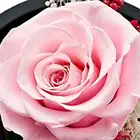 Gift 2020 girls Small gift box rose decoration glass Preserved rose flower gifts & crafts