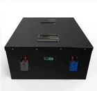 Lifepo4 12v 24v 48v 100ah 200ah 300ah リチウム車のバッテリー充電式電池