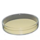 Natural Health Supplement vitamin k1 1% CWD powder