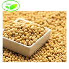 100% Pure Natural 10%, 40%, 80% Isoflavones avocado soybean extract powder